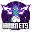 Charlotte Hornets