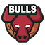 Chicago Bulls