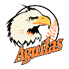 Aguilas de Tunja