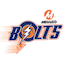 Meralco Bolts