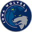 Iowa Wolves