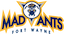 Fort Wayne Mad Ants