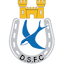 Dungannon Swifts