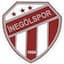 Inegolspor