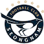 Seongnam FC