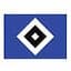 Hamburger SV (Youth)