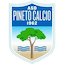 Asd Pineto Calcio